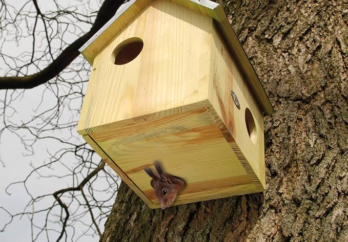 Esschert Design USA WA10 Wooden Squirrel House