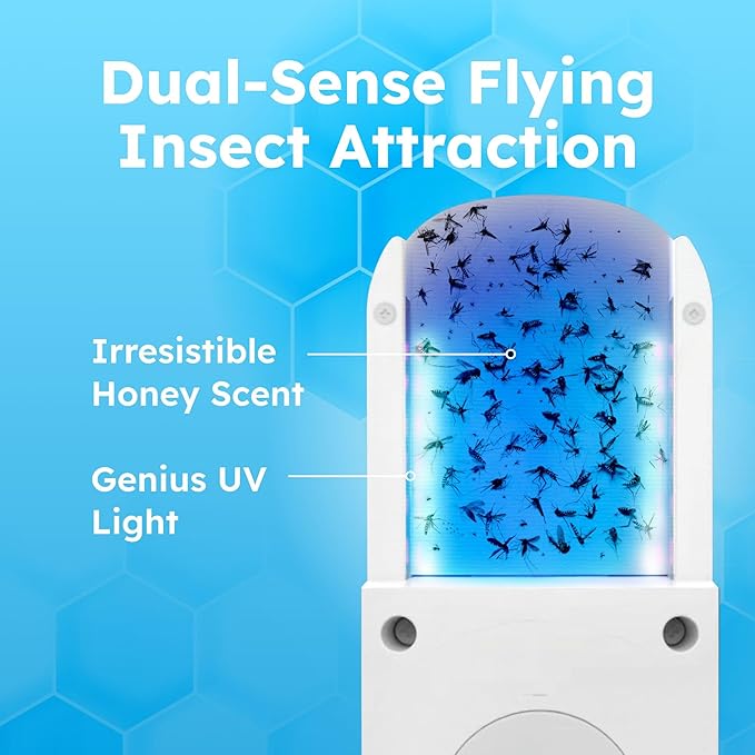 BugMD No Buzz Zone Fruit Fly Traps for Indoors with Honey Scent Bait & UV Light – Gnat Traps for House Indoor, Plug In Fly Trap Indoor, Bug Zapper Alternative, Mosquito Trap for Home