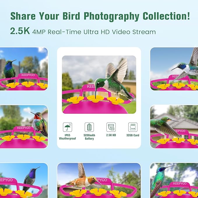 2.5K Hummingbird Feeder with Camera, Wireless Smart Bird Feeders for Outdoors, 2.4Ghz WiFi, AI Bird Identify, Instant Notification, Include 32GB SD Card, Ant Moat & Bee-Proof (Pink)