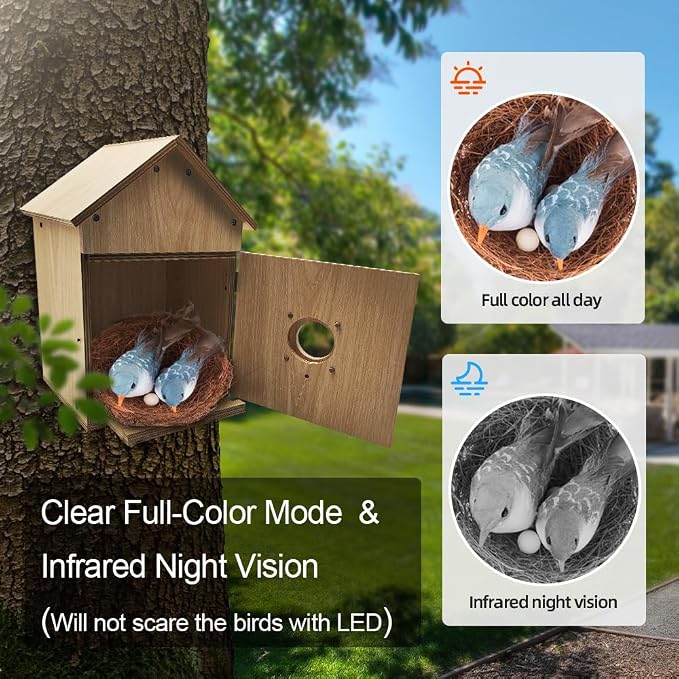 Bird House with WiFi Camera Solar Powered for Wireless Outdoors, HD View Nesting & Hatching, Box House for Bluebird Swallow Wren Chickadee, PIR Detection, SD Card & Cloud Storage, IR Night Vision IP65