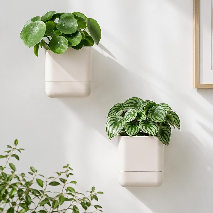Phoenix Vine 4.5 Inch Wall Mounted Self-Watering Planter Pot for Indoor Houseplants and Herbs | Hanging Planter for Window Sills, Bathroom Walls, Home & Office Décor, Oatmeal, Set of 3, 01-B-G-3