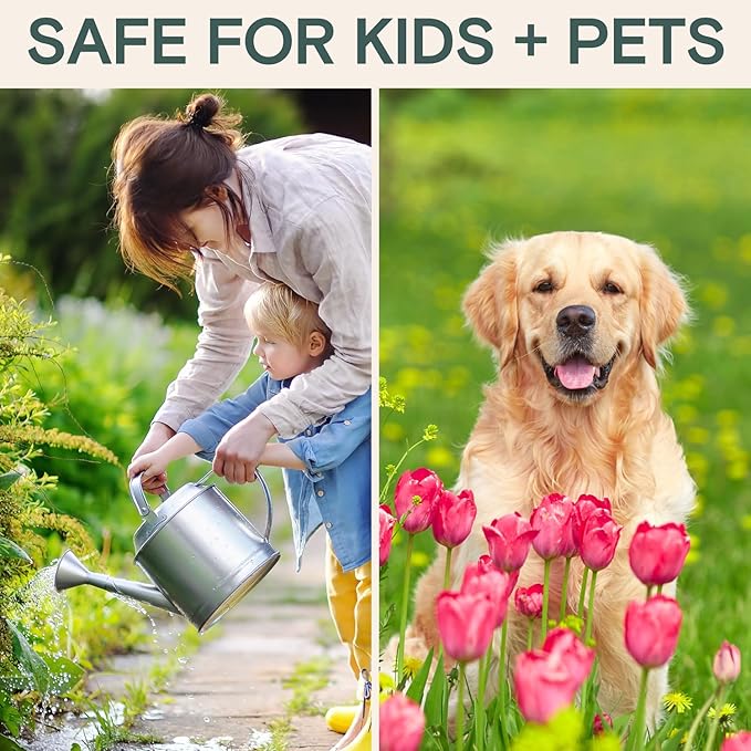Organic Insecticide & Fungicide for Plants — Indoor/Outdoor Protection to Control Powdery Mildew, Spider Mites, Aphids, Whiteflies, Fungus Gnats — Safe on Vegetables & Lawns — Concentrate Spray, 16oz
