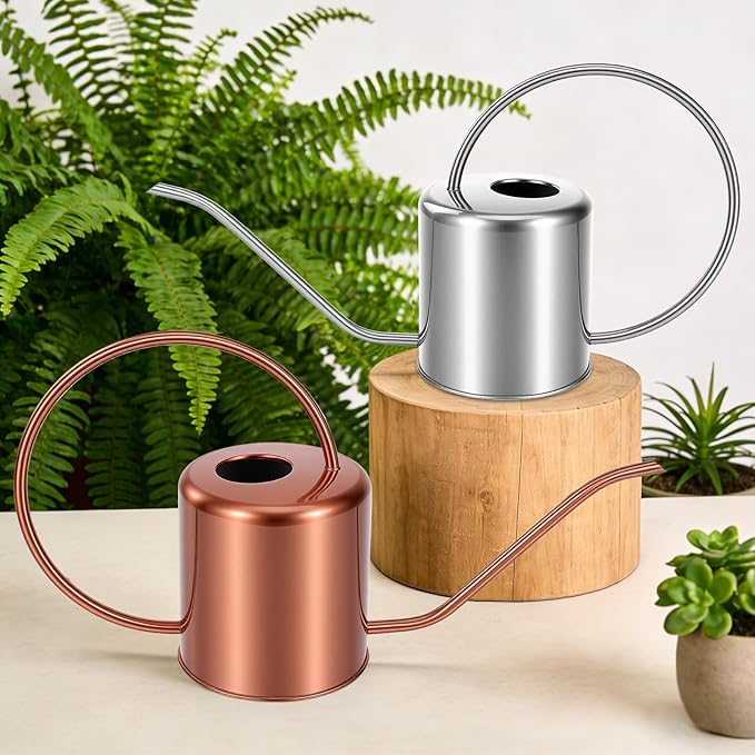 Plant Watering Can, 50 oz / 1500 ml Stainless Steel Metal - Modern Decorative with Long Spout for Indoor Potted Plants, Bonsai, Garden Flowers, Silver