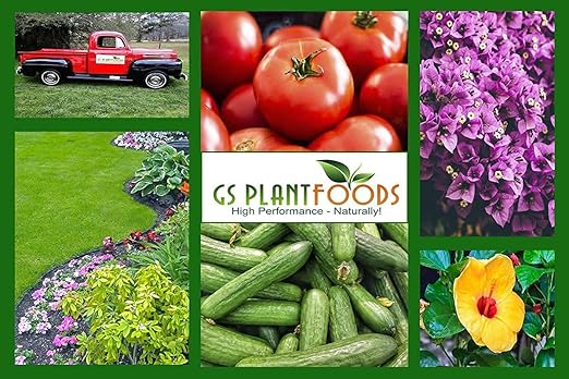 GS Plant Foods Root Ruckus Compost Fertilizer Organic Plant Food - Humic Acid & Sea Kelp Nutritional Root Supplement for Lawns, Soil, Shrubs & Vegetables - 275 Gallons