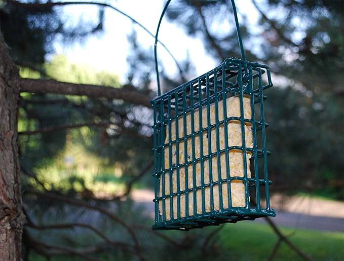 Wildlife Sciences Mealworms & Nuts Suet Cakes, 11 oz. Each, 12 Pack, High-Energy Wild Bird Food with Peanuts, Corn, Millet & Mealworms, No-Mess Melt-Resistant Suet, Individually Wrapped