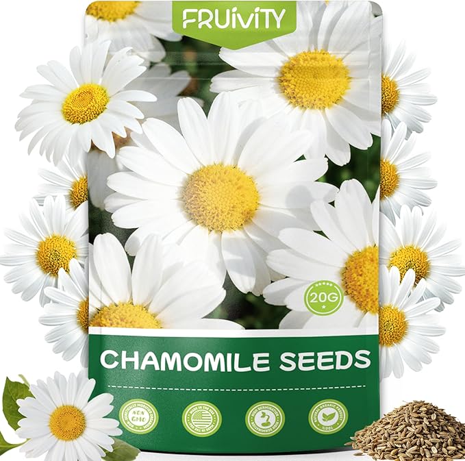 2300+ German Chamomile Seed Pack, Non GMO Heirloom Seeds for Planting, Herb Seed to Plant, Easy to Grow, High Germination, for Home Garden Indoor Outdoor