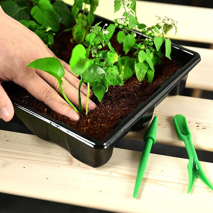 YoleShy 5 Packs Seed Starter Tray with Dome Reusable Plastic Plant Growing Trays with Humidity Domes Thickened Sturdy for Seed Starting Germination Growing Seedling Propagation,14.5"x9"