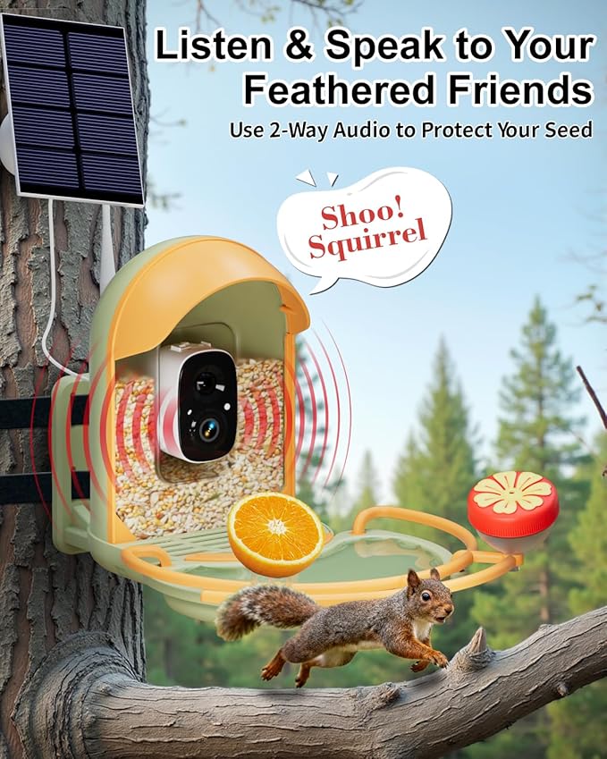 Bird Feeder with Camera, 2K HD Camera Birds Feeder with Bath Wireless Outdoor, Solar Powered Bird Watching with APP Control, Night Vision, Motion Detection Alerts, IP66 Birdfeeder for Backyard, Green
