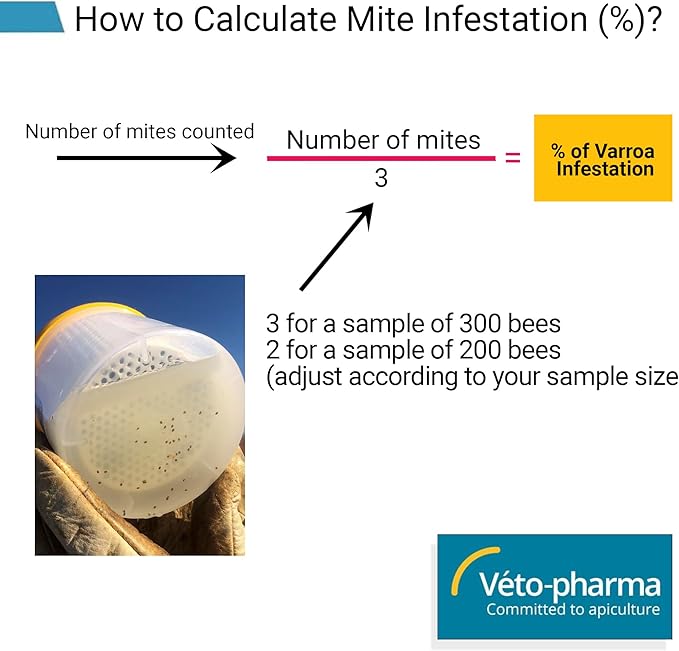 Foxhound Bee Company Varroa Easy Check Mite Tester - The #1 Mite Checker Among Beekeepers for Accurately Testing Mite Counts