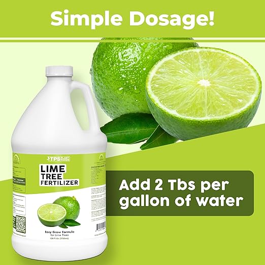 Lime Tree Fertilizer – Liquid Plant Food for More Fruit, Better Flowering & Stronger Root Development, 1 Gallon
