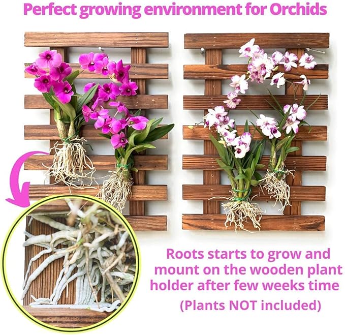 LalaGreen Bundle - 5" Pot + 2 Wooden Plant Holder, White Self Watering Pot, Wall Hanging Planters for Indoor and outdoor,Wall Mount Air Plants Succulent Holder Hanger,Vertical Garden Plant Stand Decor