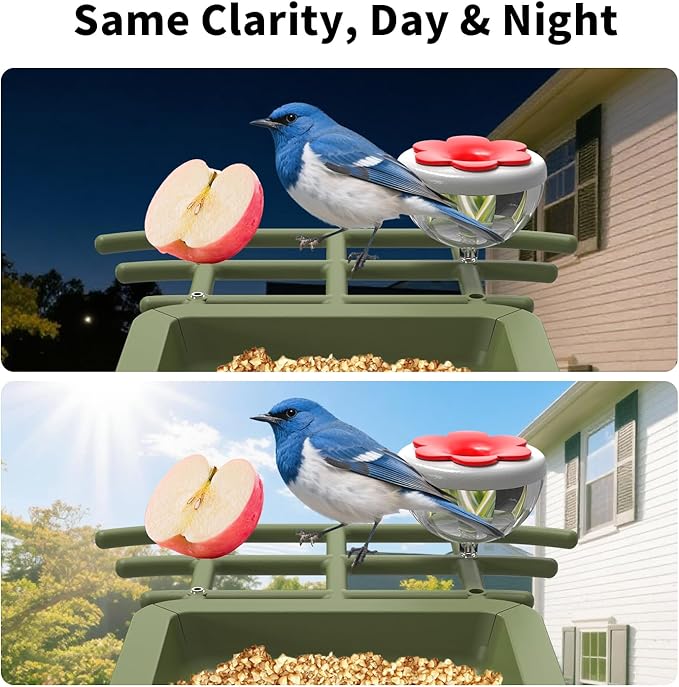 Smart Bird Feeder Camera with AI Species Identifier | Solar Powered, 2.5K HD Video, Motion Alerts - Outdoor Garden & Birdwatching Gift