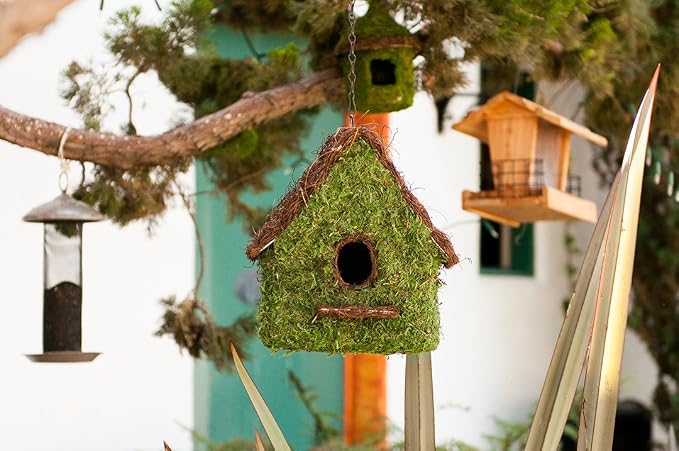 SuperMoss (56012) Maison Birdhouse with Chain, 11 by 12-Inch, Fresh Green