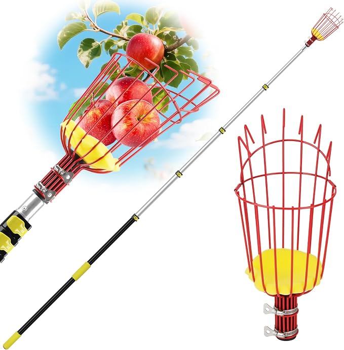 26FT Reach Fruit Picker with Basket, Apple Picking Tool Telescoping Pole, Long-Handle Mango Grabber, Tree Fruit Catcher for Harvesting Lemon Pear Orange Avocado Peach Citrus Grapefruit