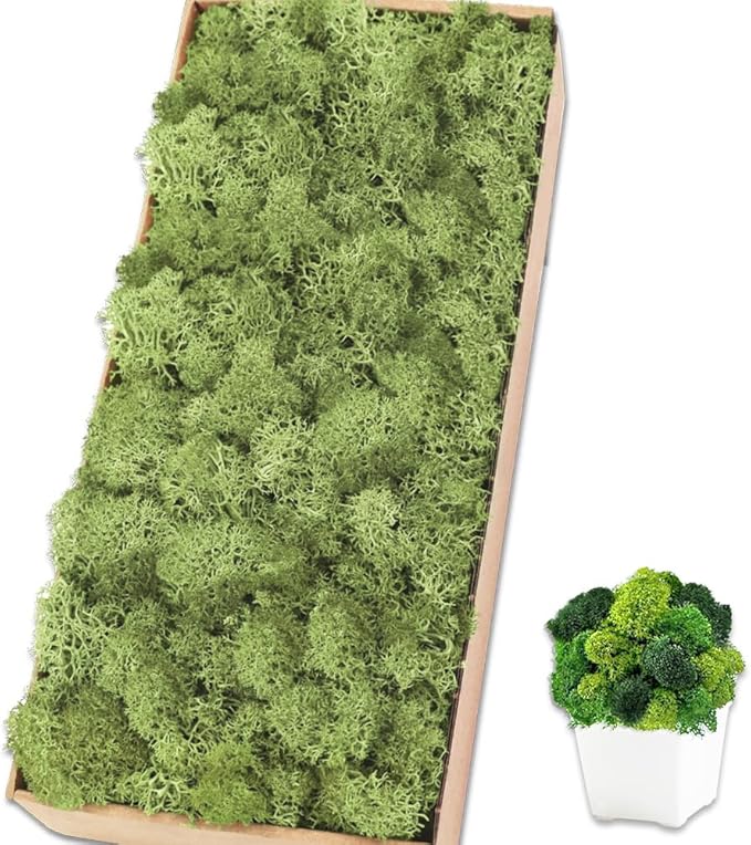 Preserved Reindeer Moss 17.6 OZ Chartreuse Natural for Crafts, DIY Gift Christmas Decor, Wall Art, Potted Plants, Fake Moss for Easter Table Decor Wedding Decorative(1.1 LB, Chartreuse)
