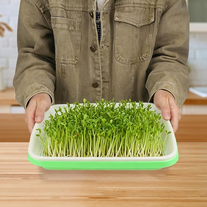 10 Pack 12.6 x 10 x 4.8 inch Microgreens Growing Trays with Lids, BPA-Free Sprouting Trays, Germination Tray for Beans, Wheatgrass & Microgreens, Home, Kitchen & Garden