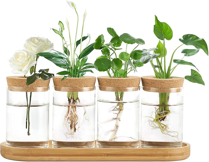 Dahey 3 Pcs Metal Hanging Flower Pots and 4 Pcs Plant Propagation Stations for Propagating Hydroponic Indoor Plants Centerpiece Tabletop Home Office Garden Yard Decor