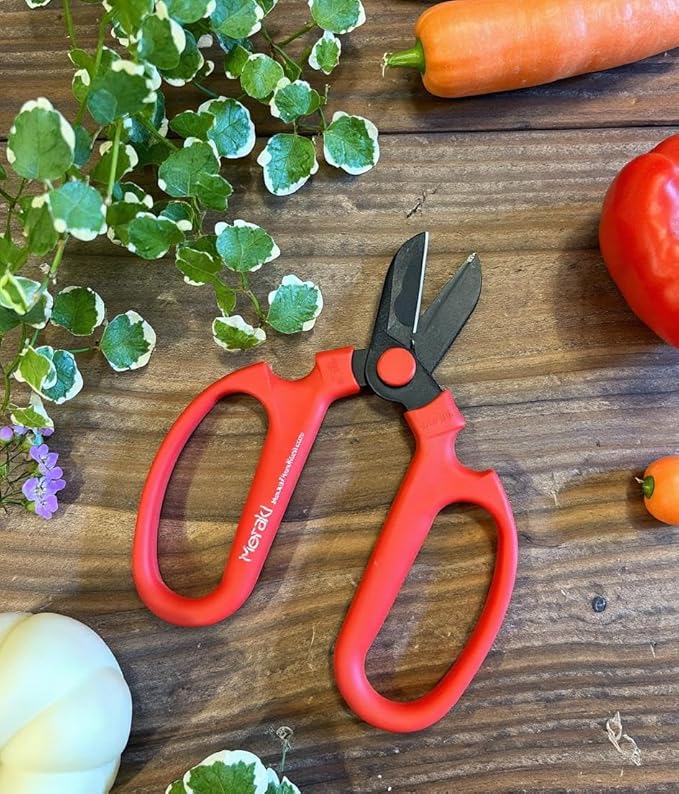 Garden Pruning Shears Set Of 3, Summer Season Meraki Garden Shears