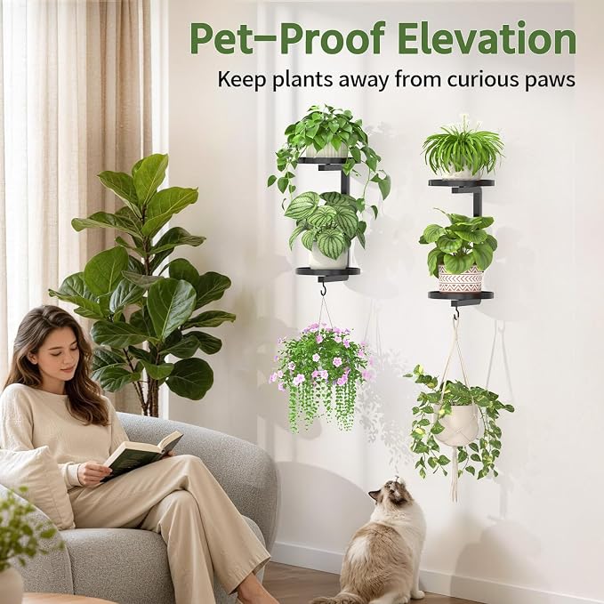LASZOLA Plant Hangers Shelves Wall Mounted Indoor with Grow Lights, Metal Window Plant Holders, 2Pcs Modern Floating Flower Display Stand with 2 Hooks for Outdoor Kitchen Bathroom Decor, Dark Grey