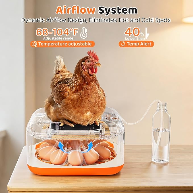 Incubators for Hatching Eggs 12 Egg Digital Egg Incubator Precision Auto Temp Humidity Control 6 Gear Adjustable Auto Turner Auto Stop Turning Hatching Days Display for Chicken Duck Goose Eggs