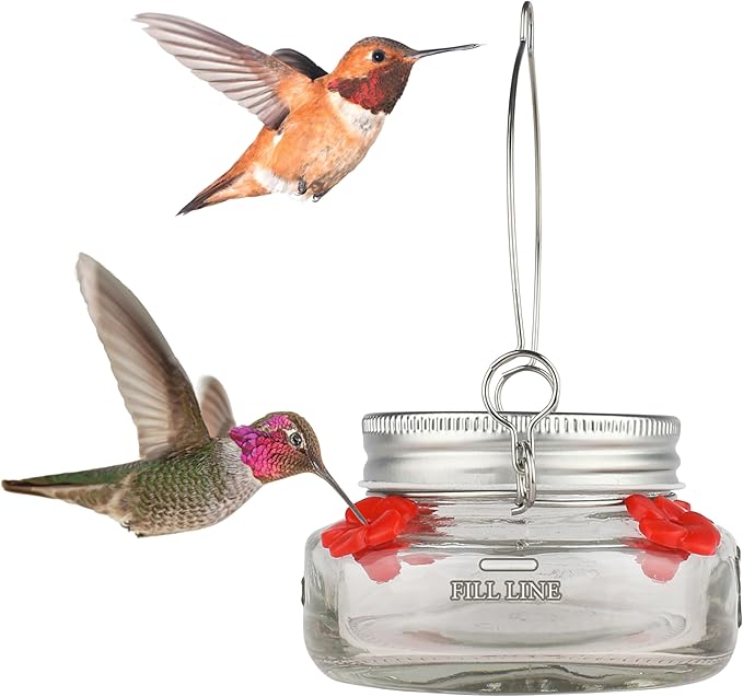 Nature’s Way Vintage Glass Jar Hanging Hummingbird Feeder, 6 oz Nectar Capacity, 4 Flexible Feeding Ports, Easy Clean Dish-Style Feeder for Outdoor Yard Décor, Clear