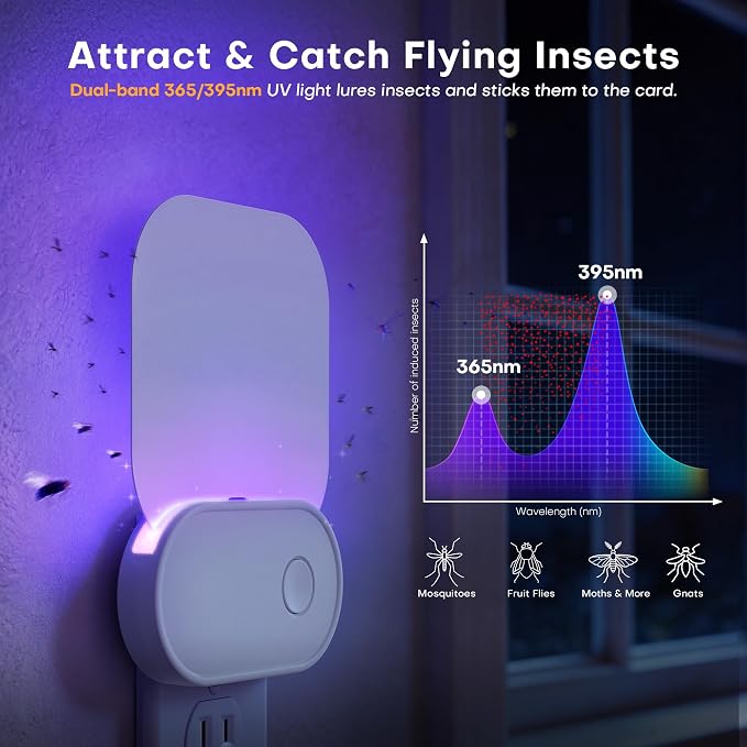 Fruit Fly Traps for Indoors (2 Device + 6 Refills), Gnat Traps for House Indoor, Plug in Fly Trap for Gnats, Fruit Flies, Flying Insects Sleek Design Indoor Safe