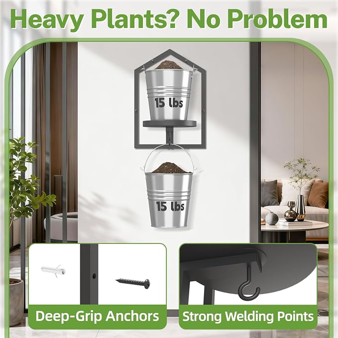iDavosic.ly Wall Plant Display Set of 4, Floating Picture Frame Holder, 2-Tier Shelves with 4 Hooks, Metal Stand for Indoor Haning Home Decor Outdoor Space Saving (Pots/Chains/Plants Not Included)