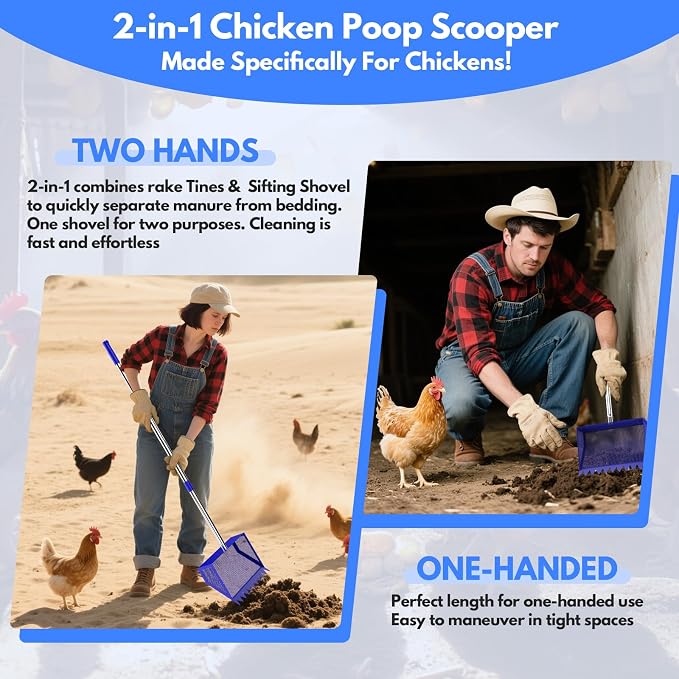 Chicken Poop Scooper Rake 2-in-1,304 Stainless Steel Shovel Head, Chicken Litter Scoop with Handle for Chicken Coop for Sand, Pet Waste Cleaning, Litter Sifting Shovel (35 to 65")