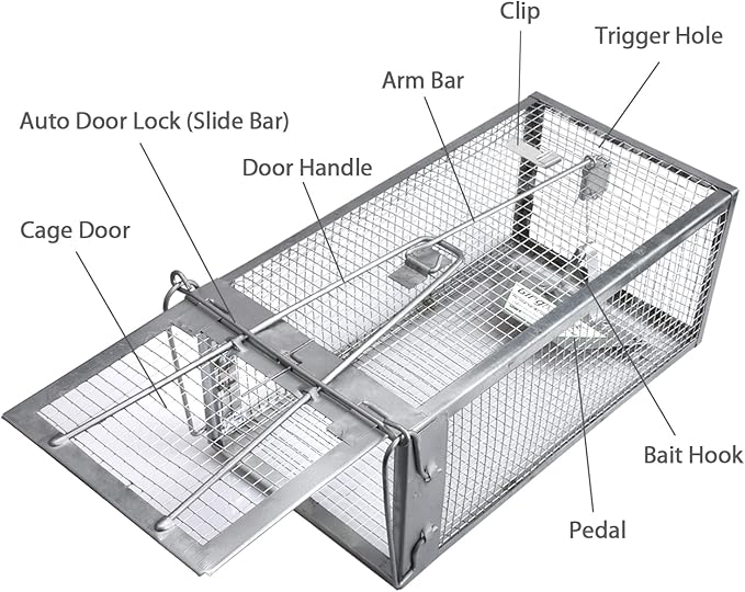 Gingbau Rat Chipmunk Trap Humane Live Mouse Vole Cage Trap
