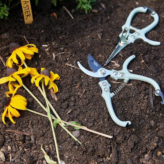 Modern Sprout Botanical Kit, Carbon Steel Pruning Shears & 8oz Plant Mister, Indoor & Outdoor Gardening Tools, Precision Cutting, Durable Water Sprayer Mister, Gift Set for Plant Lovers - Sage