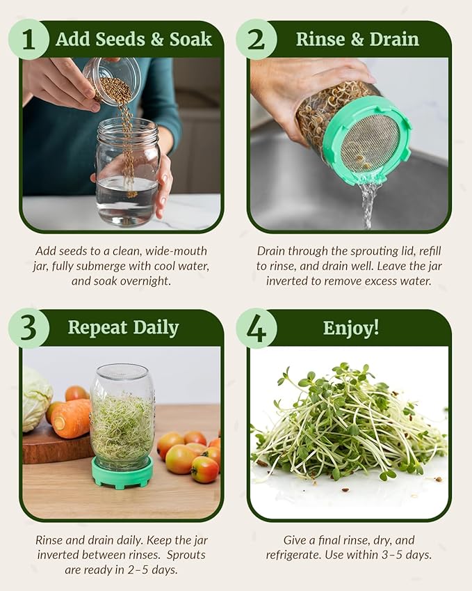 Elementi Sprouting Kit - Set of 2 Sprouting Lids for Wide Mouth Mason Jars, Sprouts Growing Kit for Bean Sprouts (Mushroom)
