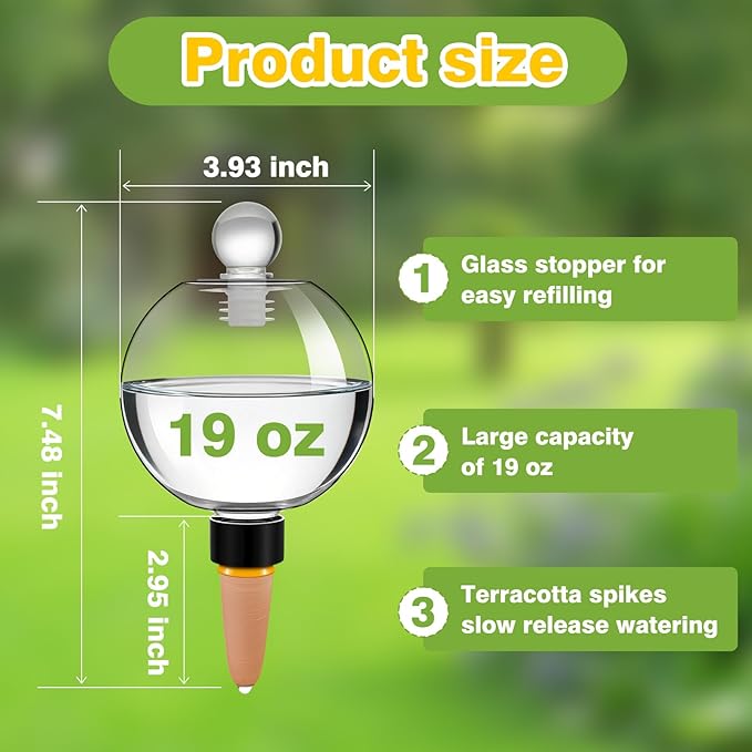 DI QIU REN 6 Pack 19oz Large Self Watering Globes, Automatic Plant Waterer with Glass Stopper - Slow Release Bulbs & Planter Insert, Top-Fill Water Spikes for Indoor Plants (6, Clear)