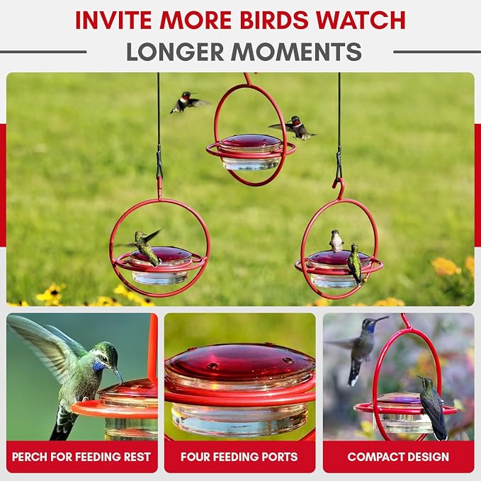 Mosaic Birds Hummingbird Feeder for Outdoors Hanging, 3.4 OZ Hummingbird Feeders, Glass Bowl with 4 Feeding Ports, Leak Proof Lid & Circular Perch, Bird Feeder (1, Red)