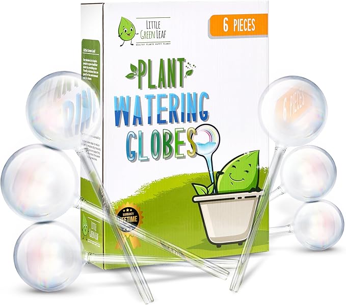 Little Green Leaf Automatic Plant Watering Globes Self Watering Planter Inserts (Set of 6) | Hands Free Clear Glass Bulbs | Planter Spikes to Support Indoor & Outdoor Plant Health (200ml)