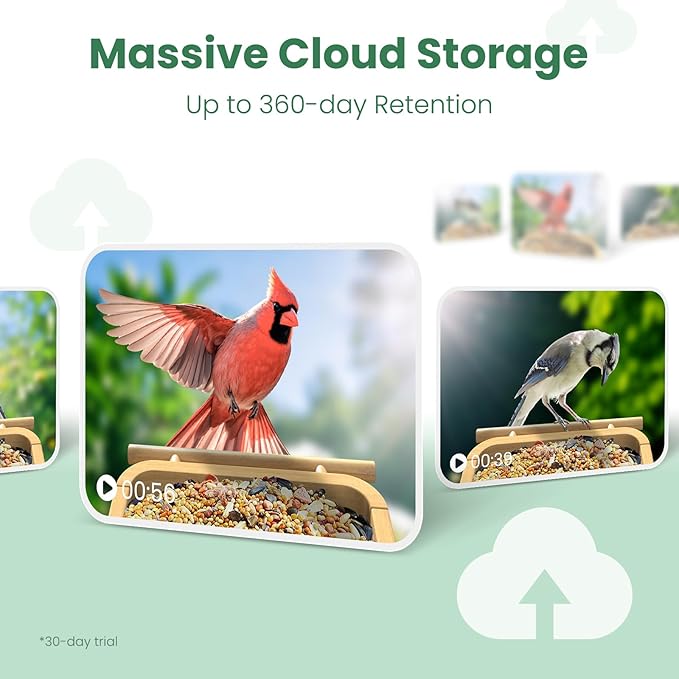 Smart Bird Feeder Camera with Solar Panel (Bamboo), 2.5K UHD AI Identification, Real-time Videos & Pictures, Wireless Solar Powered Outdoor, Ideal Garden Decor & Bird Watcher, Gift for Mom
