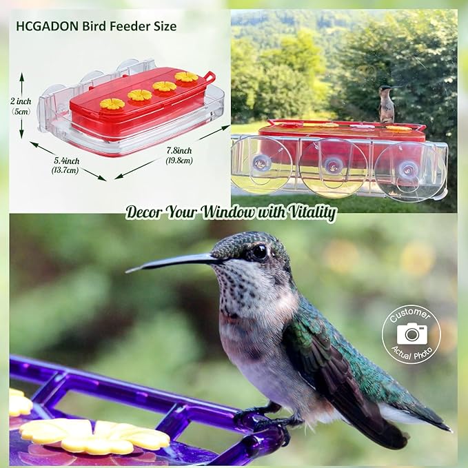 Window Hummingbird Feeder with Strong Suction Cup, Plastic Hummingbird Feeders for Outdoors, Built-in Moat,Easy to Clean and Refil (10oz) (1, Purple)