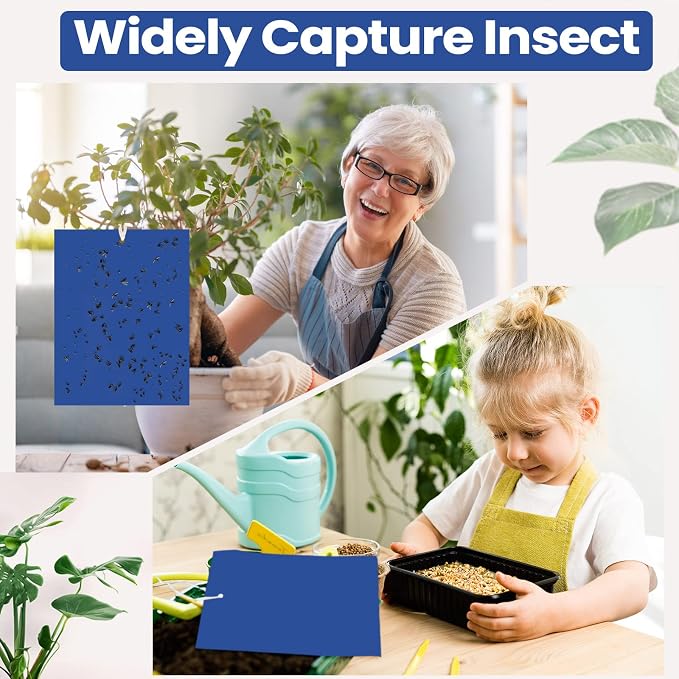 Qualirey 50 Pcs 6x8 Inch Blue Sticky Traps for Thrips Double Sided Sticky Trap for Gnats Plant,Pest Control for Fungus Gnats, Thrips, Whiteflies with Twist Ties
