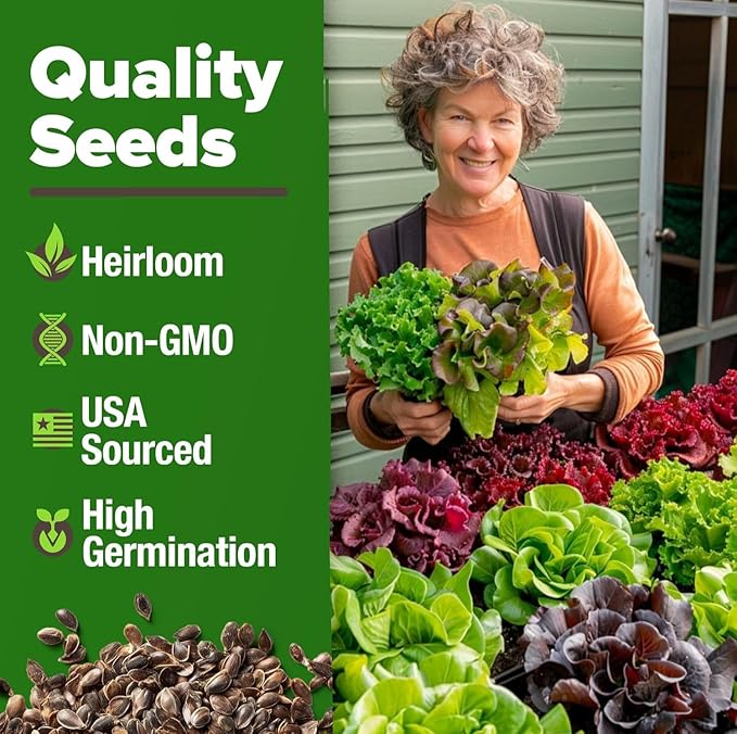 HOME GROWN Lettuce Seeds 8 Variety Mix 9000+ Bulk Pack Heirloom Non-GMO High Germination, Romaine, Bibb, Buttercrunch, Leafy Greens, Indoor Outdoor Hydroponic Garden, Cut & Come Again (Lactuca sativa)
