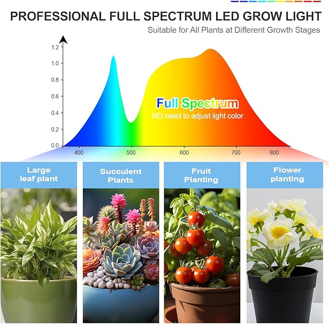 FRGROW 3Head Tabletop Grow Lights for Indoor Plants, Seed Starting, Vegetables, Bonsai, Bright Desk Plant Growing Lamps, 4/8/12/16/20H Timer, 27 Watt Power Draw, NO Need Adapter, 360° Gooseneck