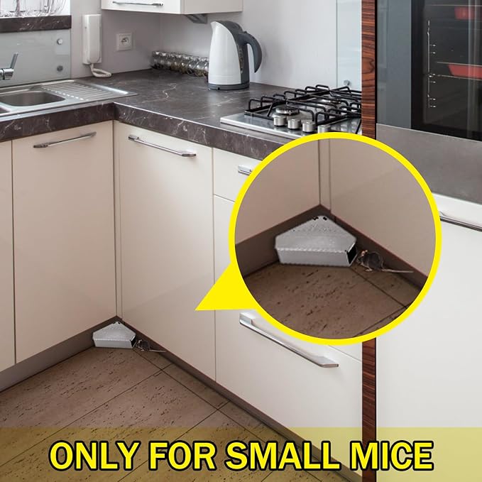 Qualirey 12 Pcs Mice Station with Key Triangle Mouse Station Lockable Reusable Bait Box, Enclosed Design for Indoor and Outdoor Use, Suitable for Small Mice (Gray)