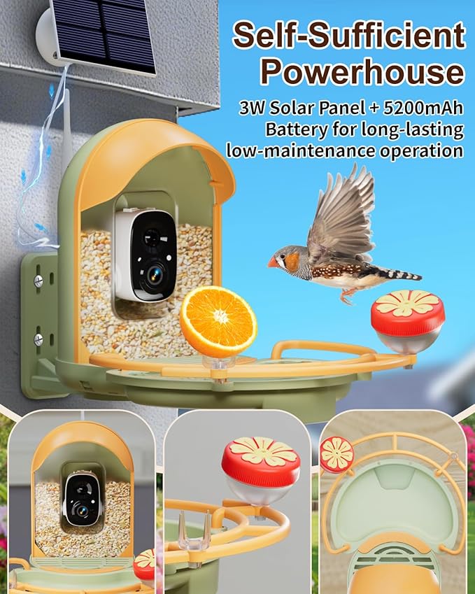 Bird Feeder with Camera, 2K HD Camera Birds Feeder with Bath Wireless Outdoor, Solar Powered Bird Watching with APP Control, Night Vision, Motion Detection Alerts, IP66 Birdfeeder for Backyard, Green