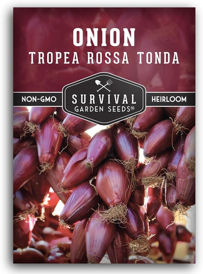 Tropea Rossa Tonda Onion Seeds for Planting – Sweet Italian Red Onion from Calabria with Torpedo Shape & High Yields – Heirloom, Non-GMO, Open-Pollinated – Survival Garden Seeds (1 Pack)