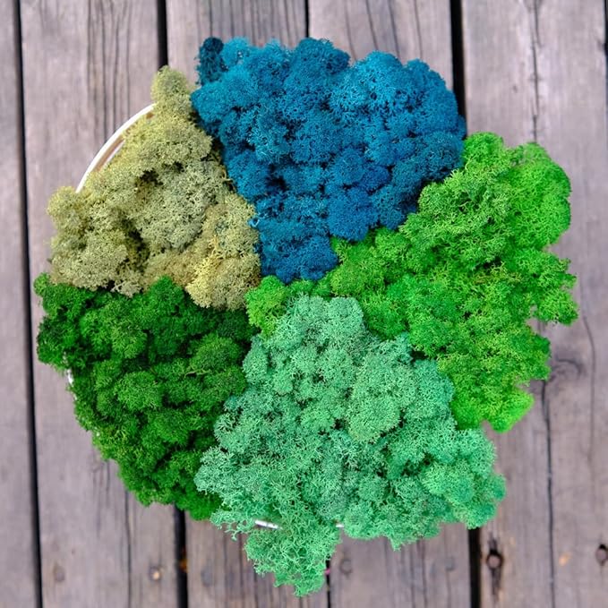 Preserved Reindeer Moss Natural Green DIY Kit Gardenning Art Wall Decor Florist Decor Easter Table Decor Wedding