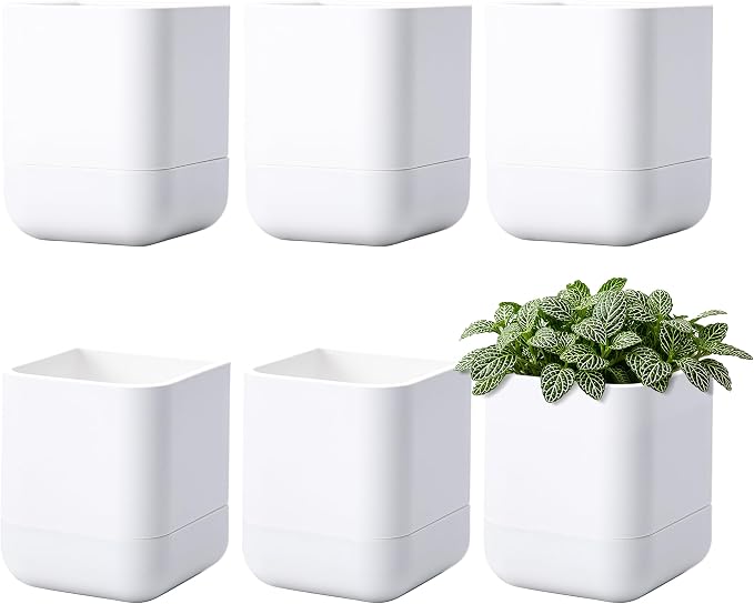 Phoenix Vine 3.5 Inch Wall Mounted Self-Watering Planter Pot for Indoor Houseplants and Herbs | Hanging Planter for Window Sills, Bathroom Walls, Home & Office Décor, White, Set of 6, 01-A-D-6