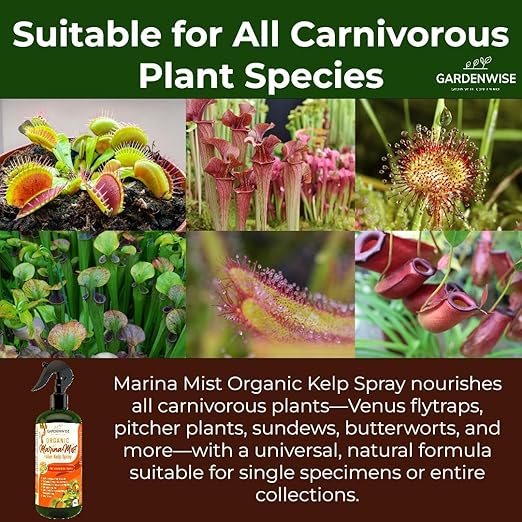 GARDENWISE 100% Organic Marina Mist Carnivorous Plant Food | Liquid Kelp Foliar Spray for Plants - Kelp Fertilizer for Venus Flytraps, Sundew, Butterworts, Pitcher Plants 8 Oz