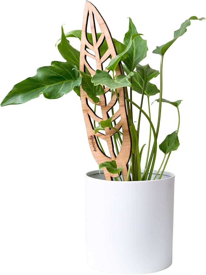 Treleaf Bare™ Anthrulla™ – Customizable Wooden Queen Anthurium Leaf Plant Trellis – Grande Size 24” Indoor Plant Support and Decorative Houseplant Stake for Potted Vines and Climbing Plants