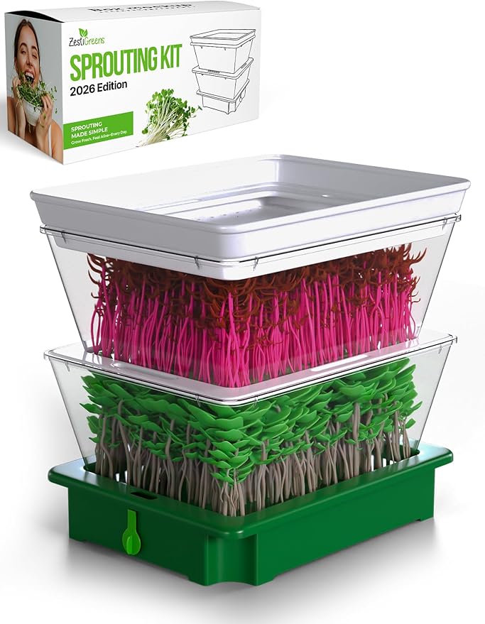 ZESTIGREENS 2-Tier Sprouting Kit - Stackable Seed Sprouter Trays with Drain Spout - Grow Fresh Sprouts at Home - BPA-Free