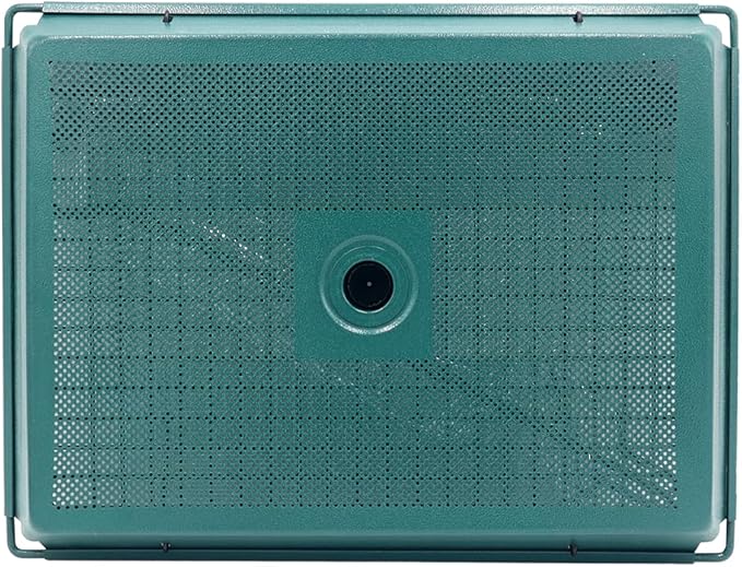 Zenport Z203009 2-in-1 Platform Bird Feeder, Green - 6 Pack