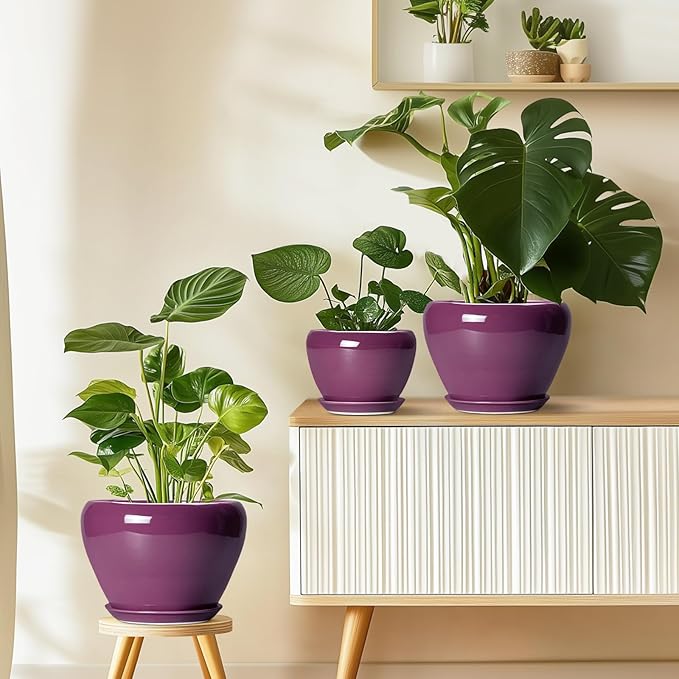 Ceramicfor Ceramic Planter - 8 Inch Plant Pot Indoor with Drainage Hole and Saucer, Glaze Decorative Planter, Round Flower Pot, Plant Lover Gifts, Home Garden Office Decor, Purple