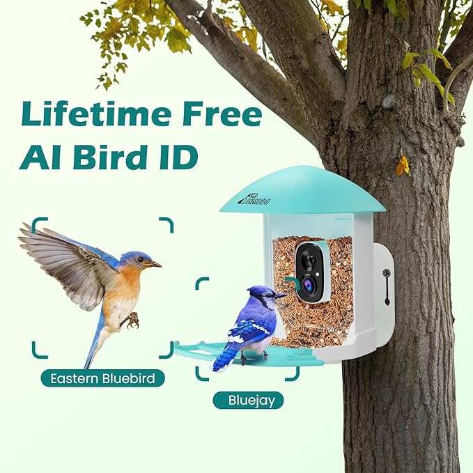 Bird Feeder with Camera, Smart Bird House with Cam for Outside, 2K HD Auto Record Video, AI Identification & Instant Alerts, Solar Powered, Bird Watching Gifts for Family and Birdlovers